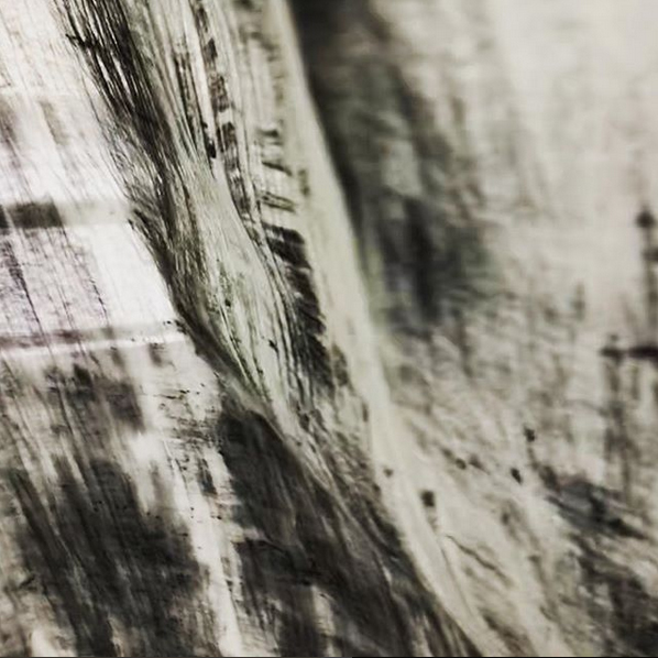 marijke-brinkhof-fields-detail